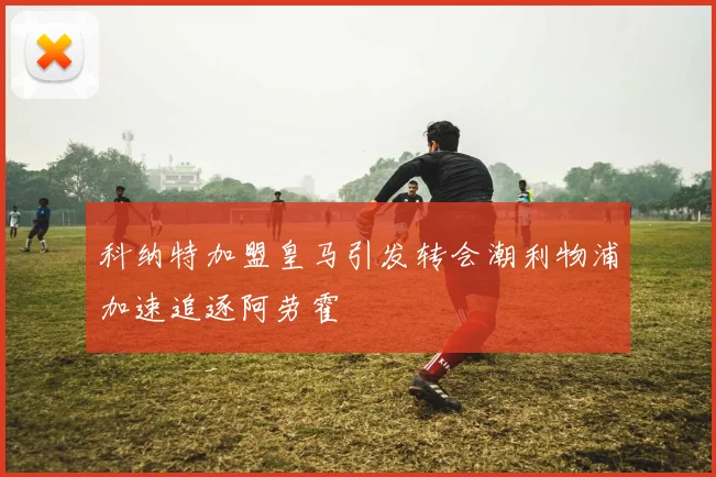 科纳特加盟皇马引发转会潮利物浦加速追逐阿劳霍