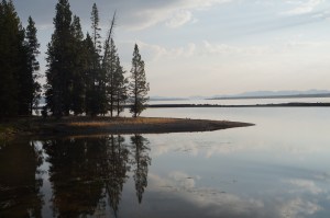 Sony Camera Photos 1538