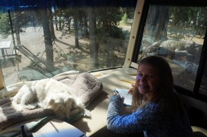 Sony Camera Photos 1540