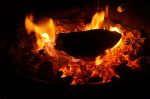 Sony Camera Photos 1602