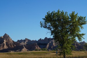 Wyoming & South Dakota 168