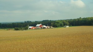 corn Iowa, MN, WI, MN 007