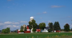 corn Iowa, MN, WI, MN 036