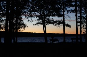 corn Iowa, MN, WI, MN 273