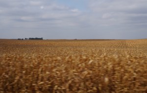 Corn, South Dakota , Iowa, Minnesota 035