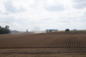 corn South Dakota , Iowa, Minnesota 083