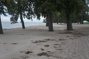 You can see the high water mark that came with the storms tidal surge.