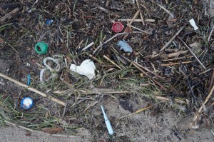 With the storm comes the garbage and it was plentiful. Made me sad.