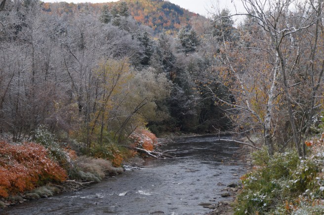 New Hampdhire, Maine 10.23.15 015