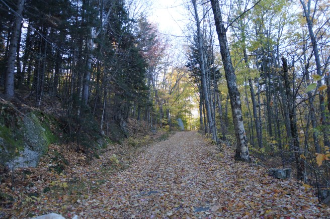 New Hampdhire, Maine 10.23.15 023