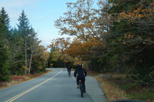 Acadia National Park 027