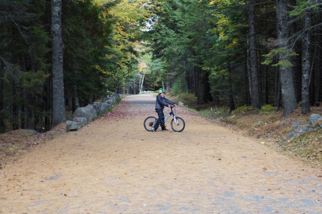 Acadia National Park 043