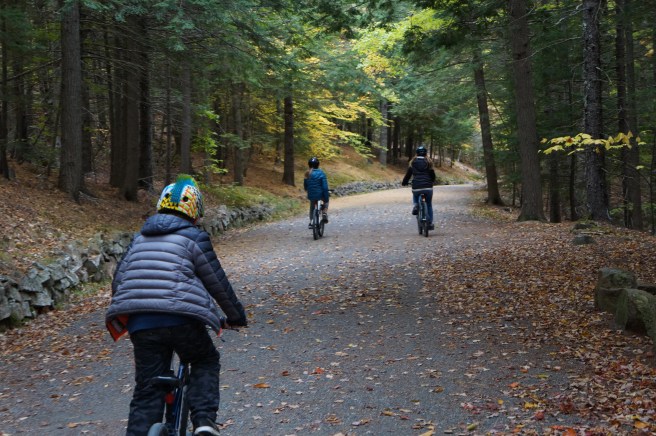 Acadia National Park 051