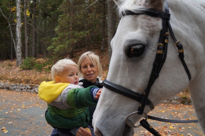 Acadia National Park 070