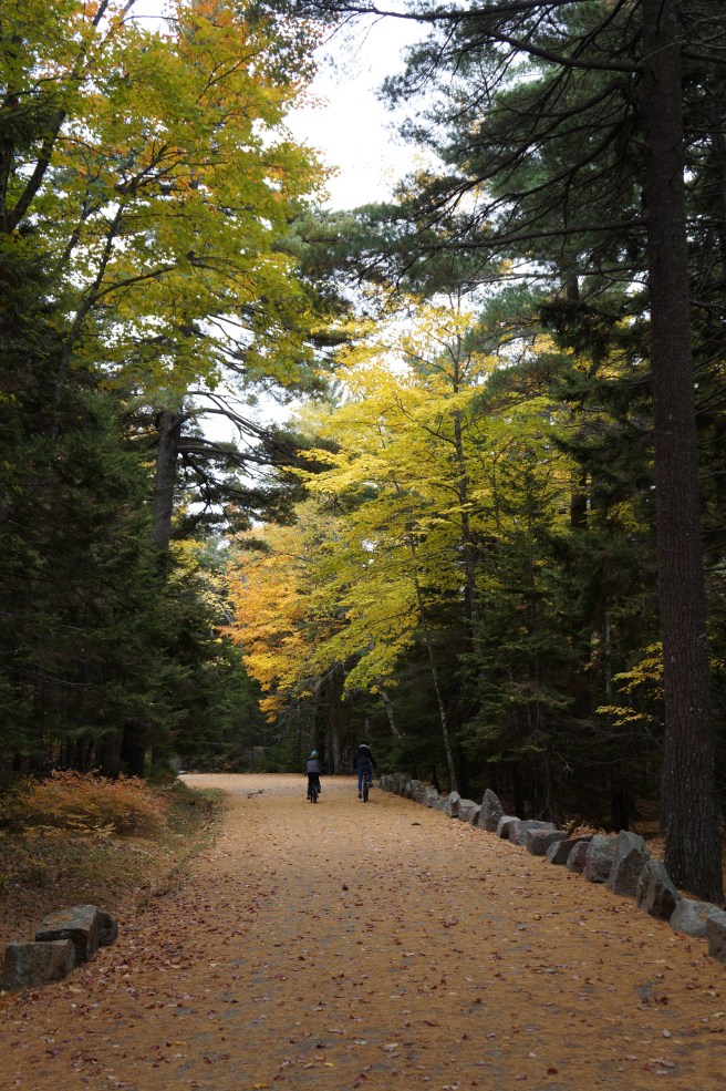 Acadia National Park 097