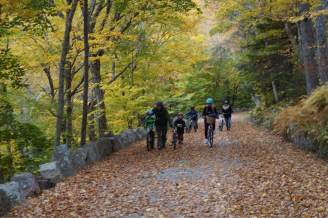 Acadia National Park 110