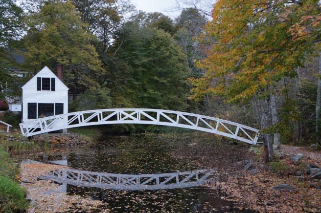 Acadia National Park 144