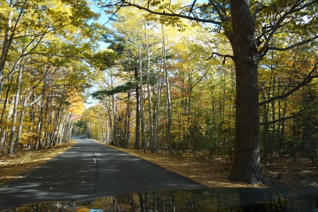 Maine Acadia National Park 013