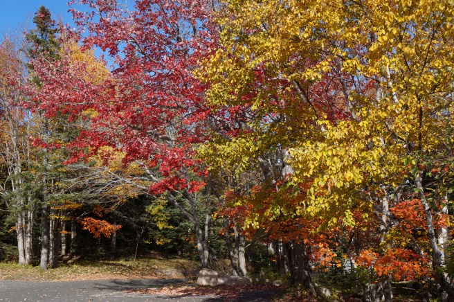 Maine Acadia National Park 084