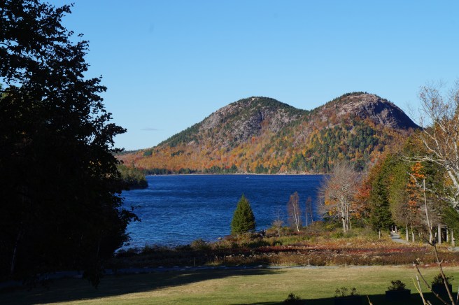 Maine Acadia National Park 114