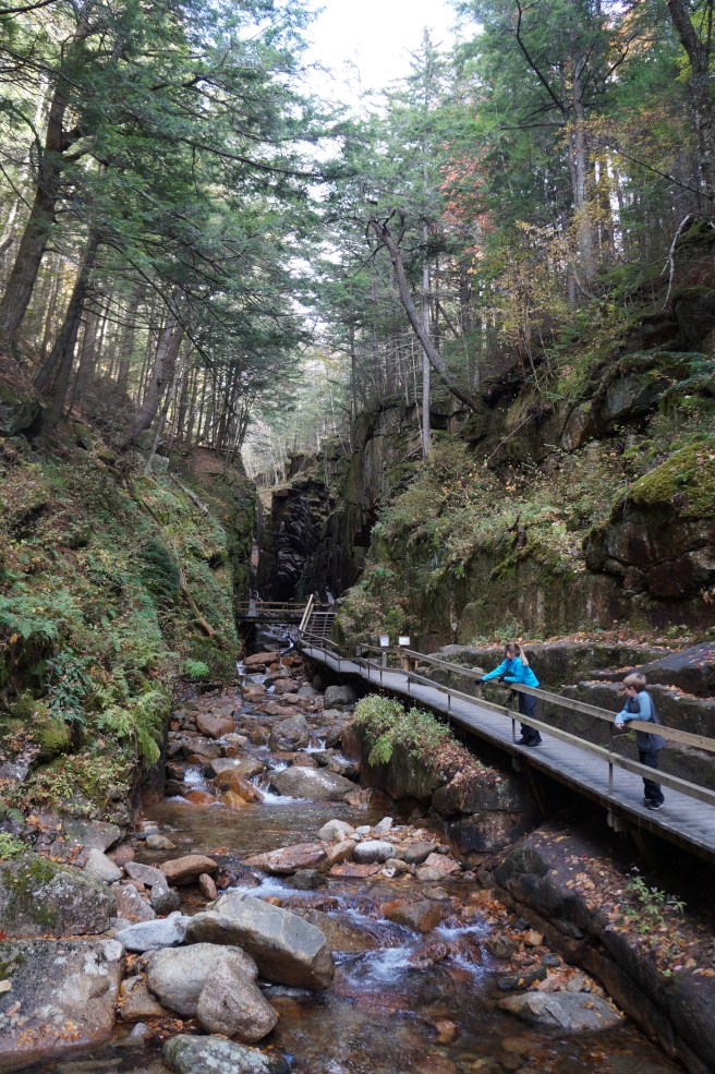 New Hampdhire, Maine 10.23.15 097