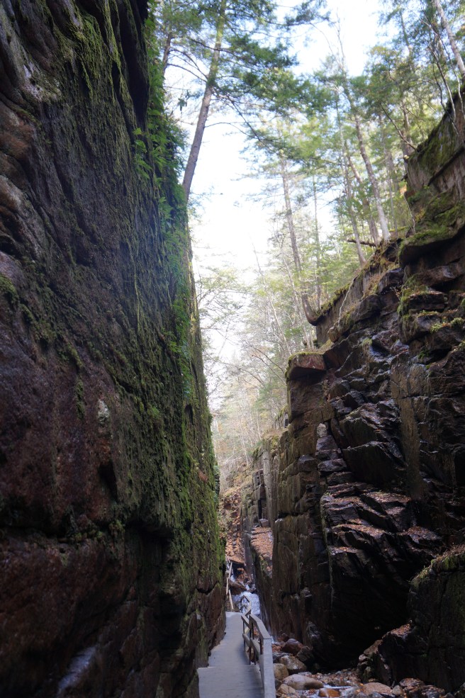 New Hampdhire, Maine 10.23.15 102