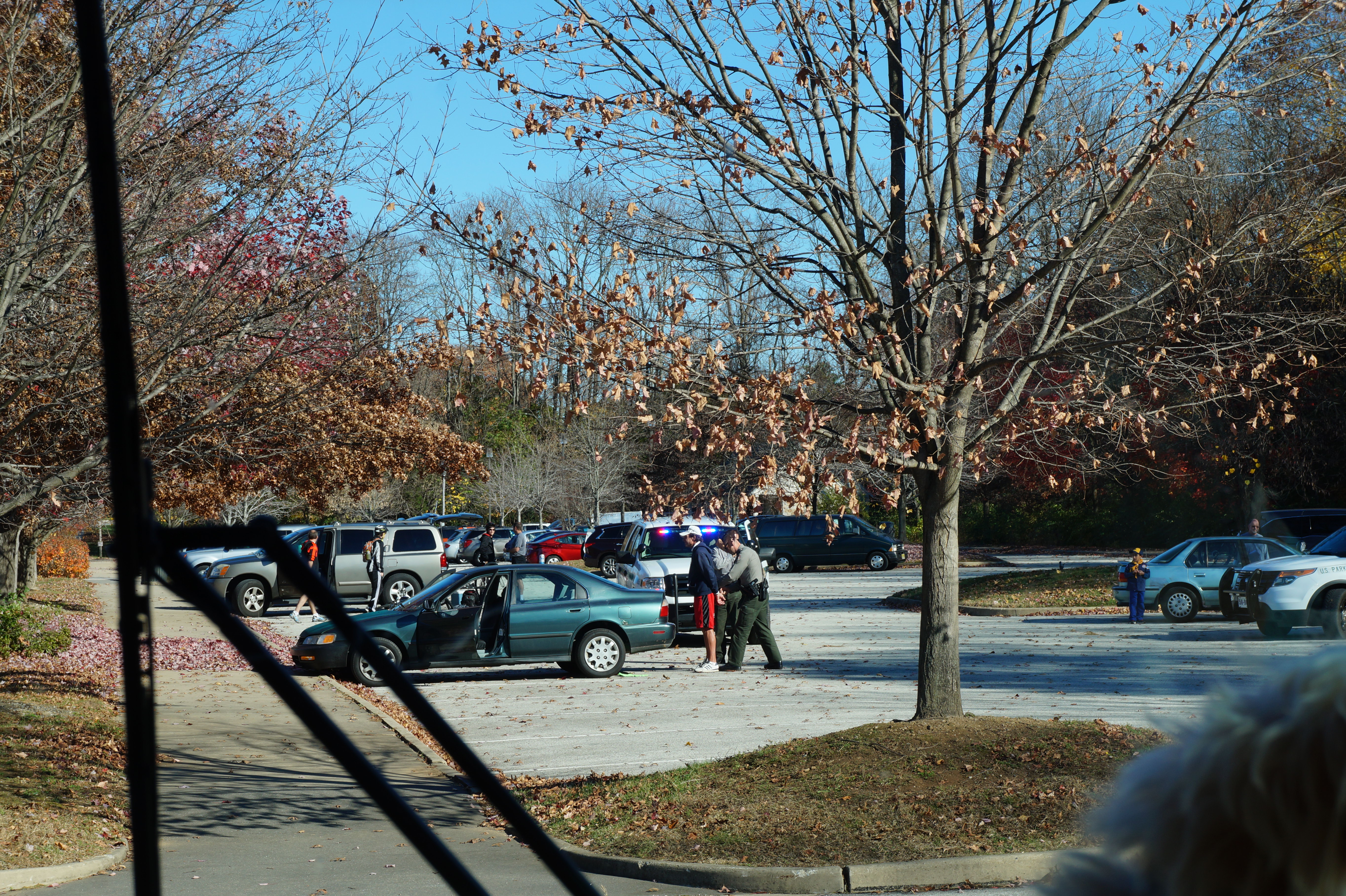 NYC, New York 11.5.15 148