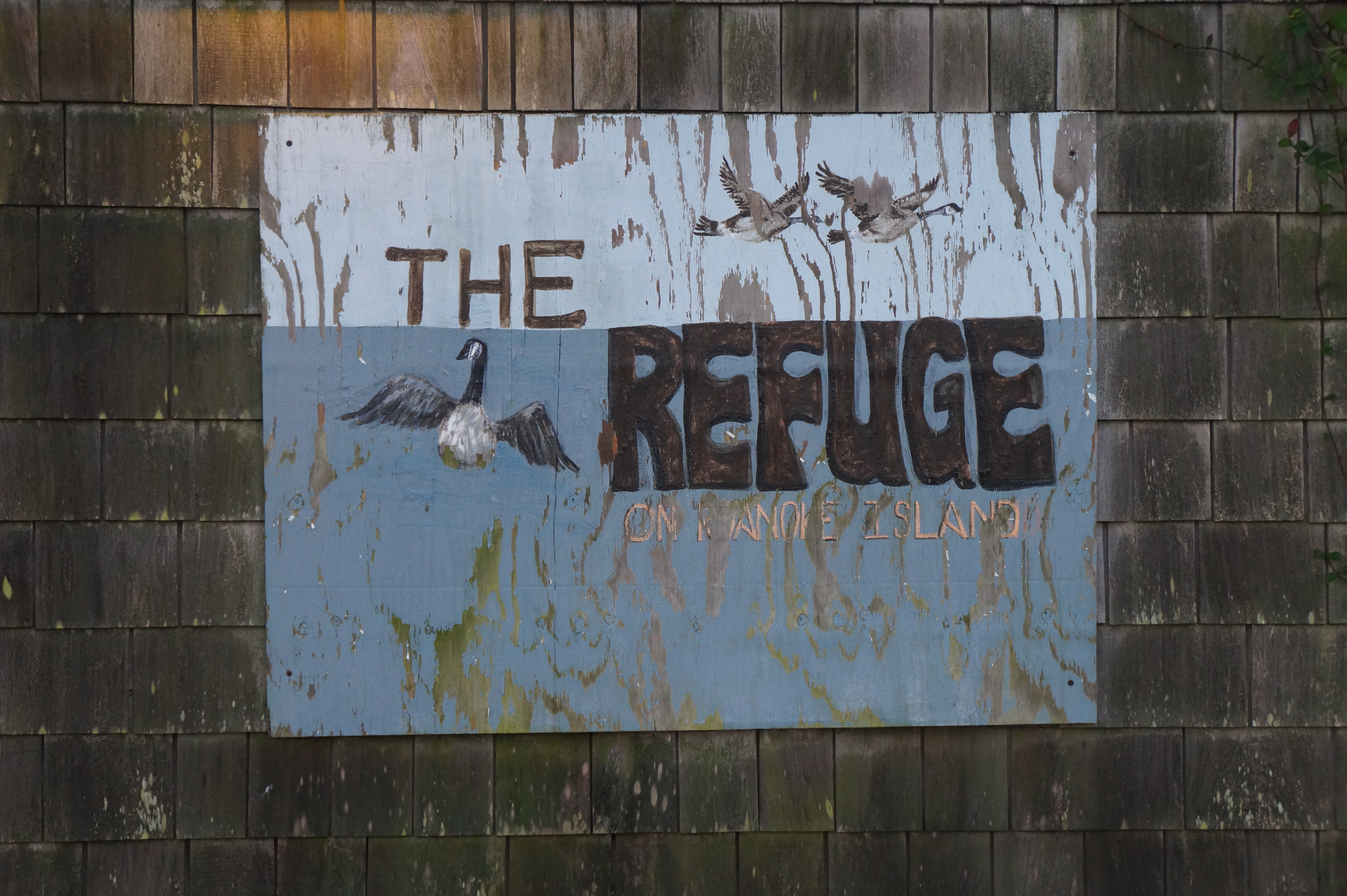 OBX North Carolina Thanksgiving 2015 061