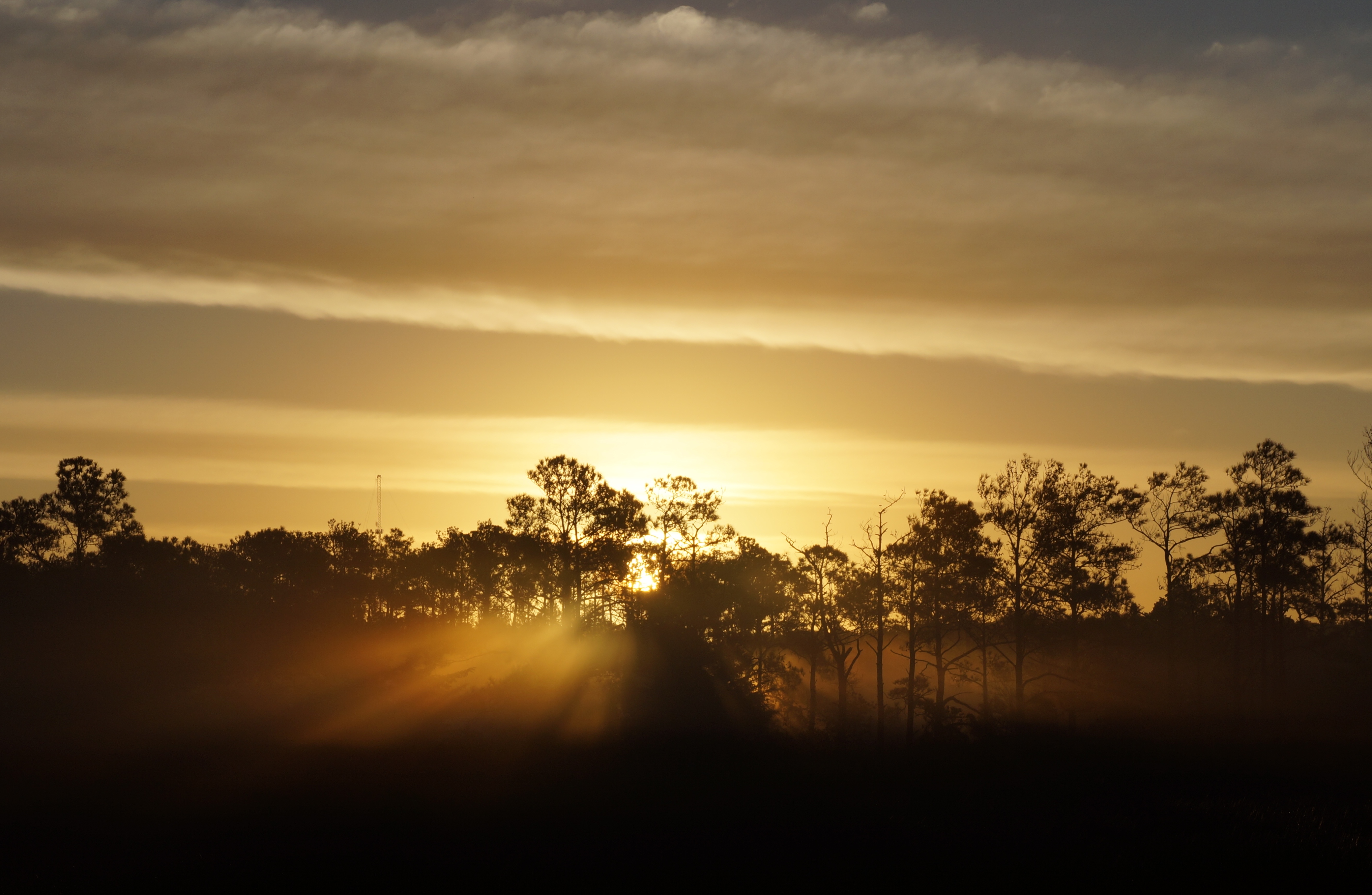 OBX North Carolina Thanksgiving 2015 072