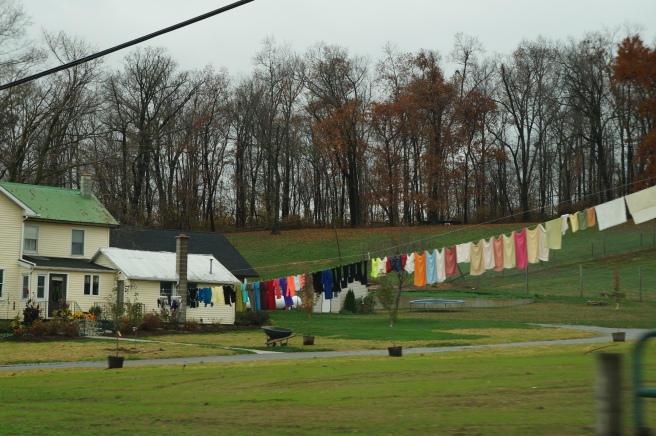 PA &amp; Amish Country 11.10.15 057
