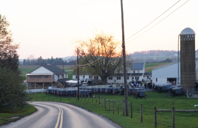 PA &amp; Amish Country 11.10.15 180