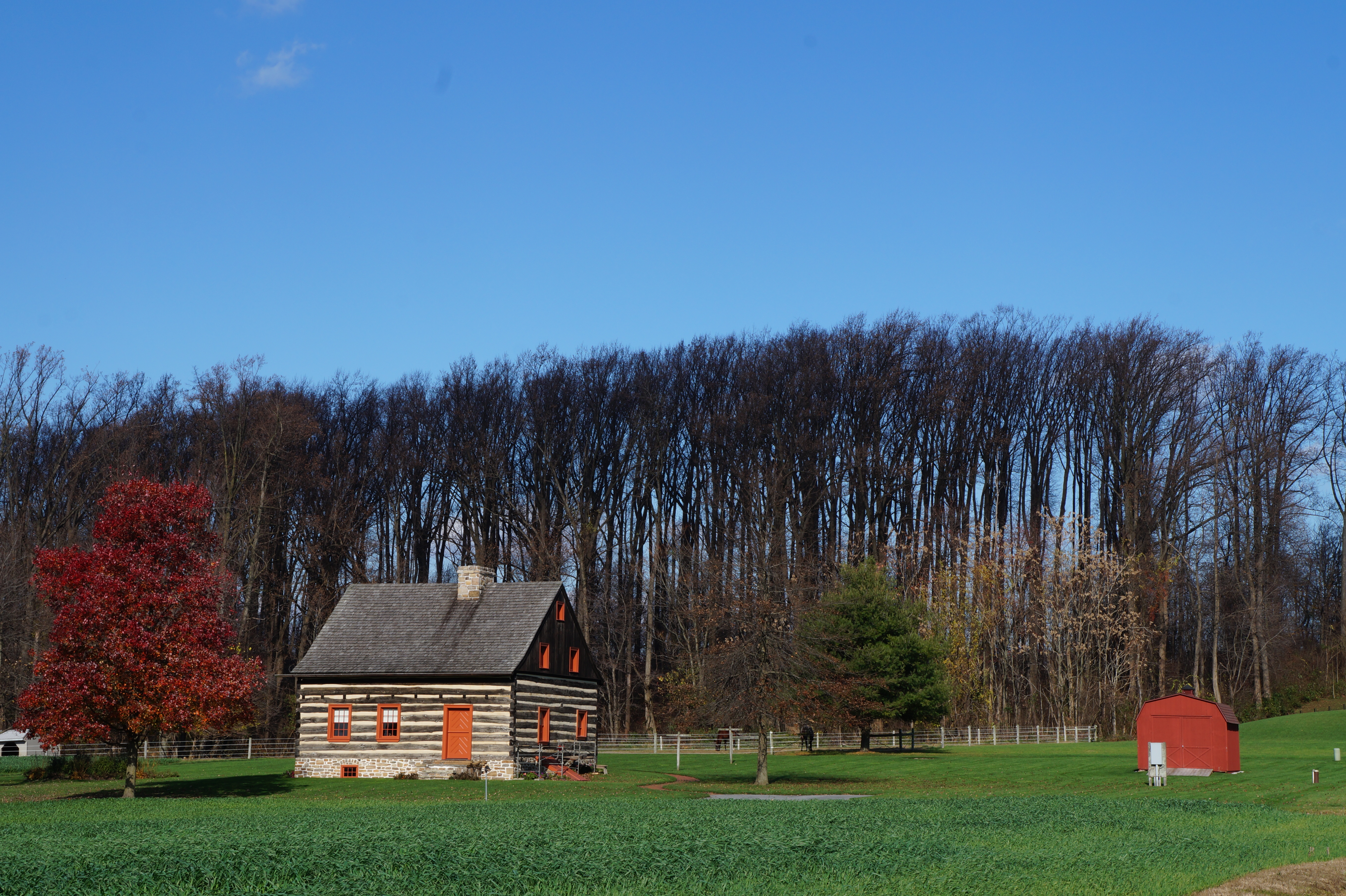 Wahington DC11.21.15 007