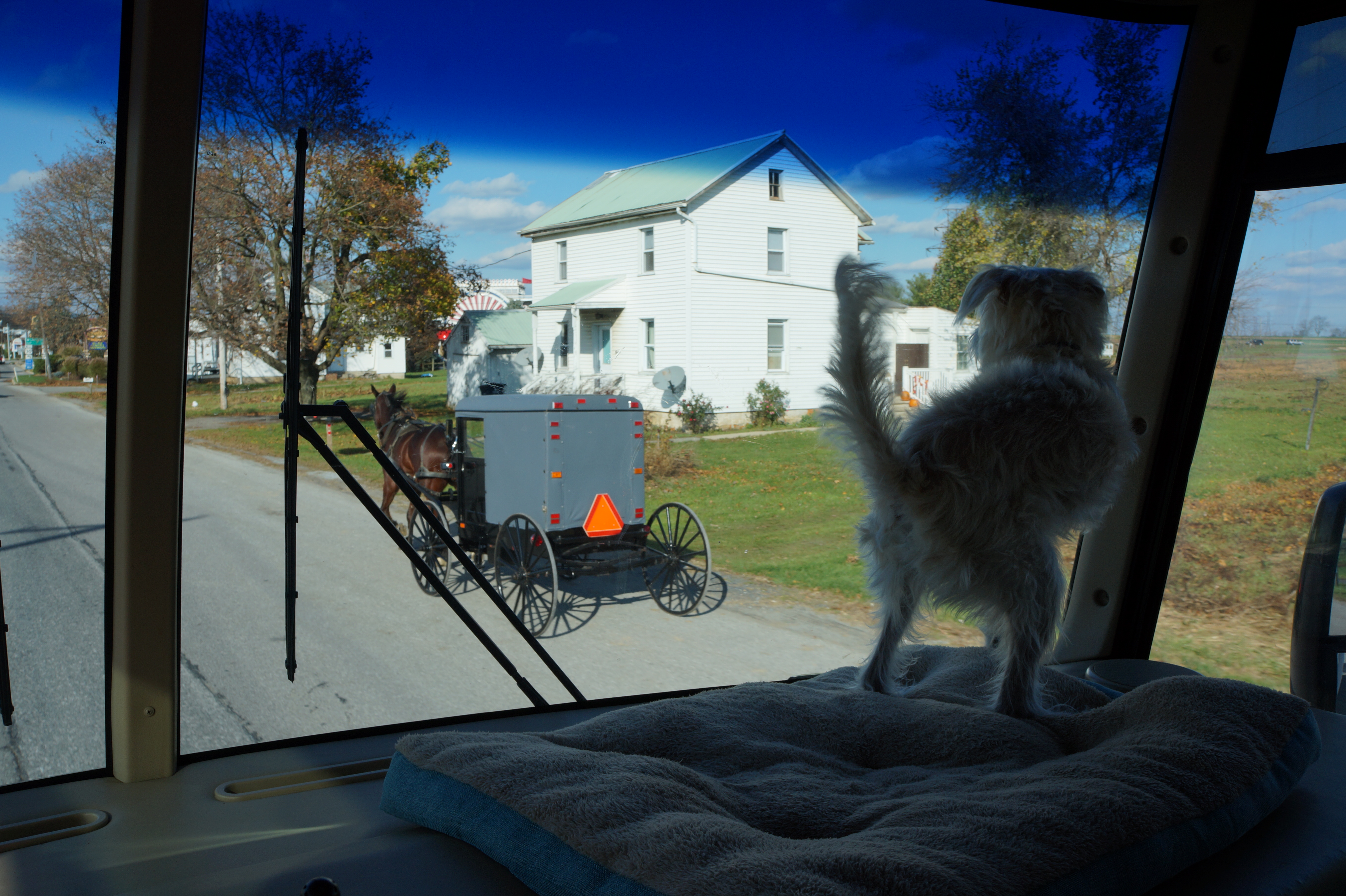 Wahington DC11.21.15 018