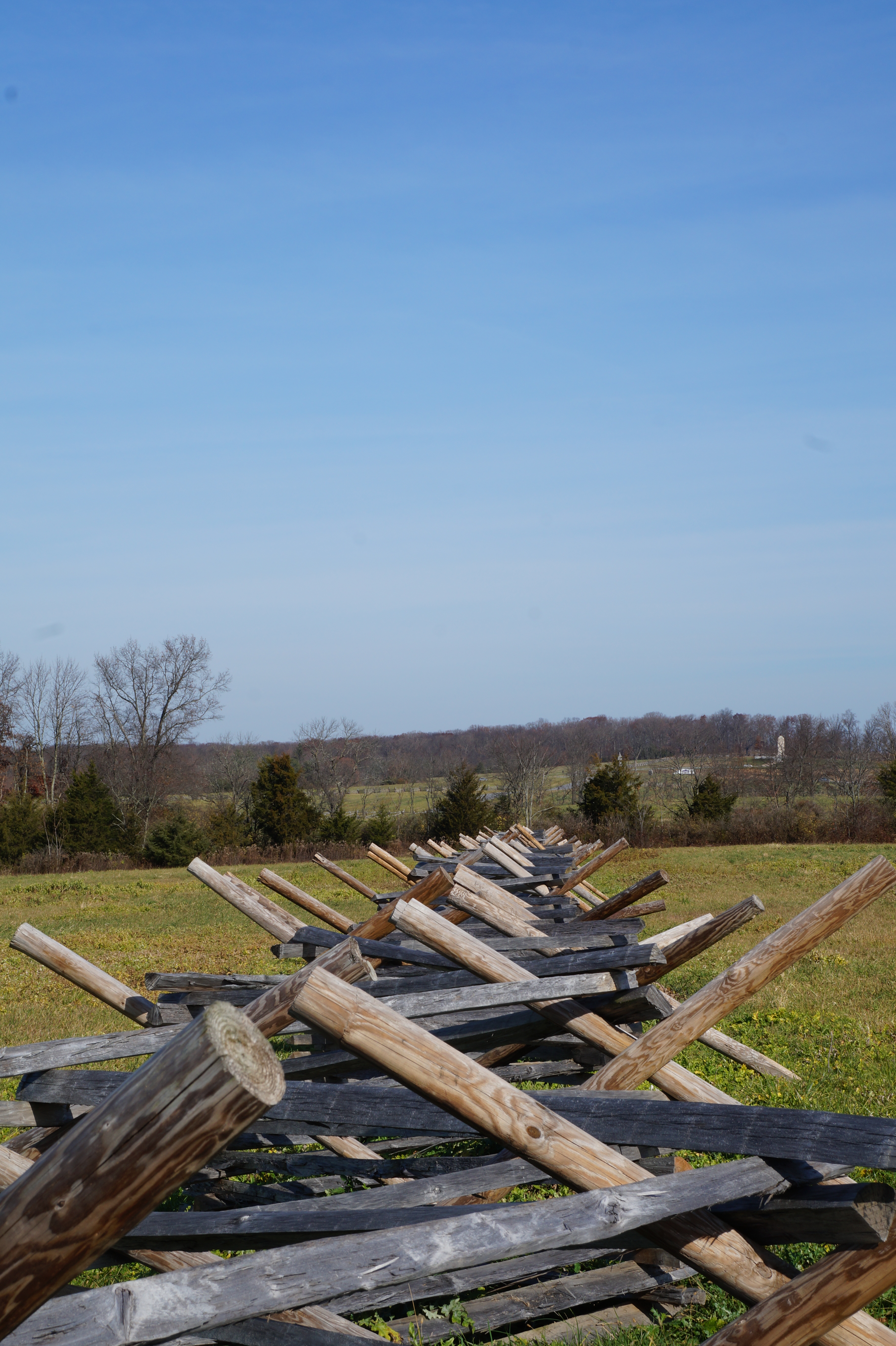 Wahington DC11.21.15 053