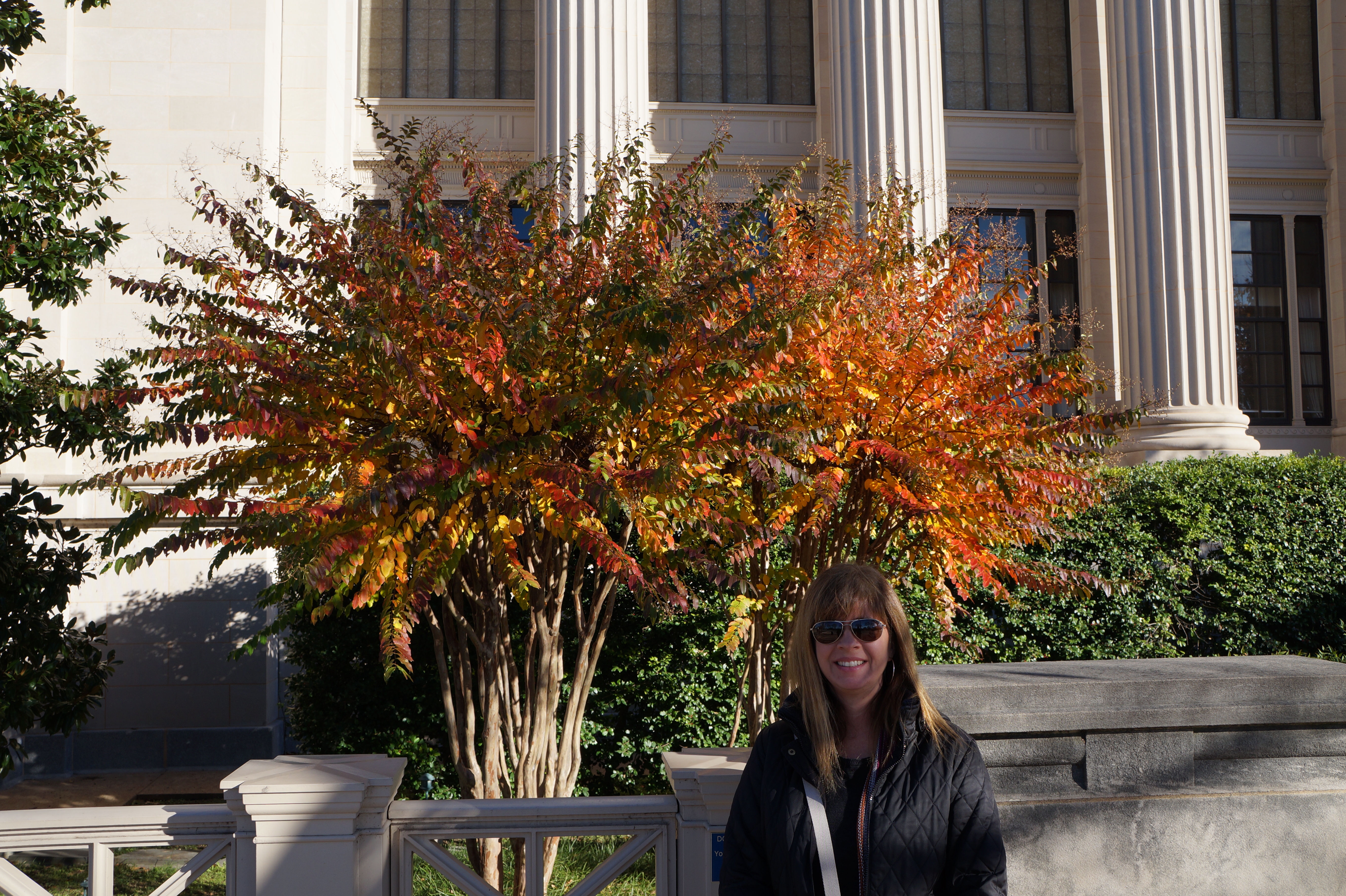 Wahington DC11.21.15 361