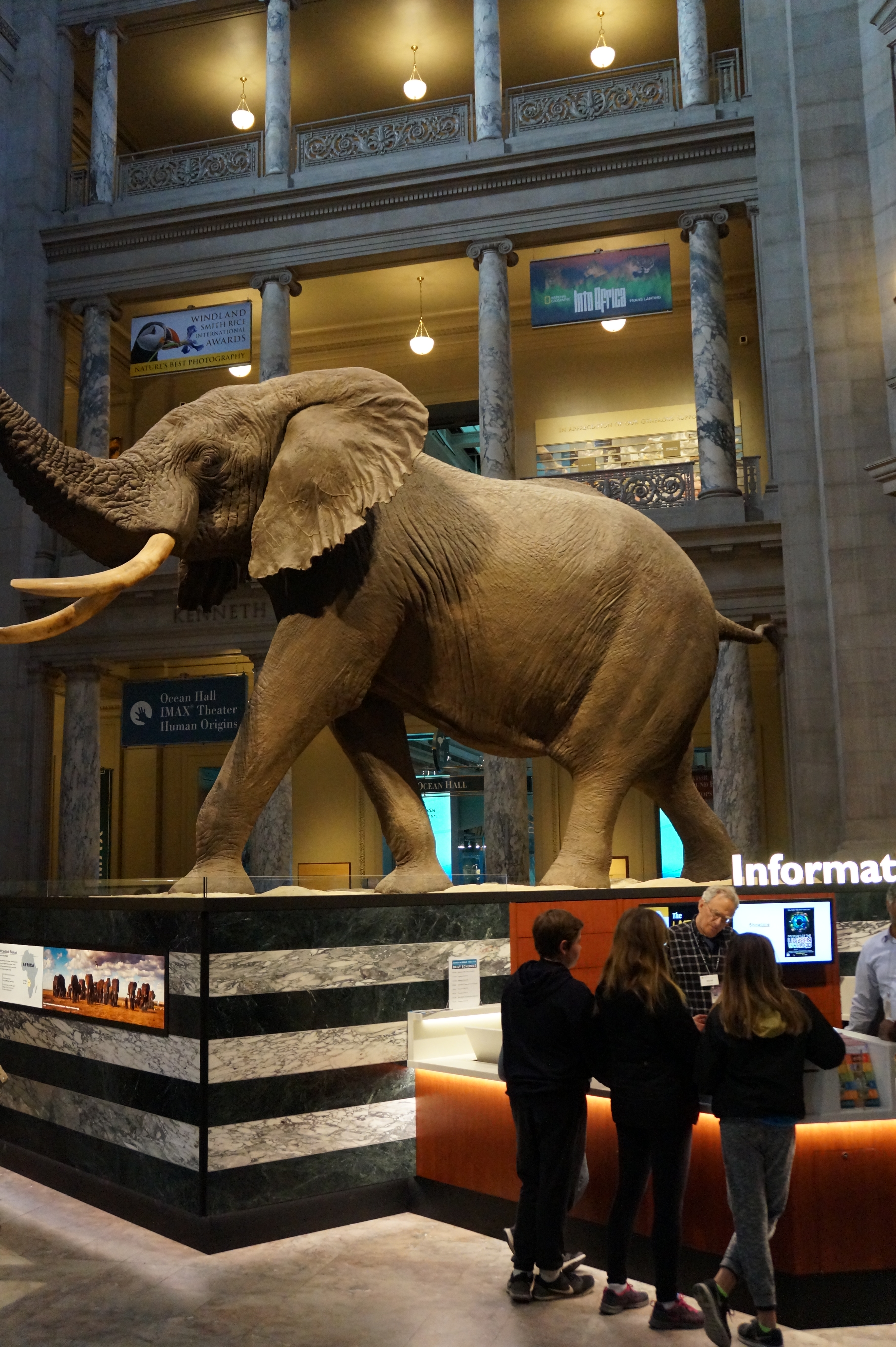 Wahington DC11.21.15 456