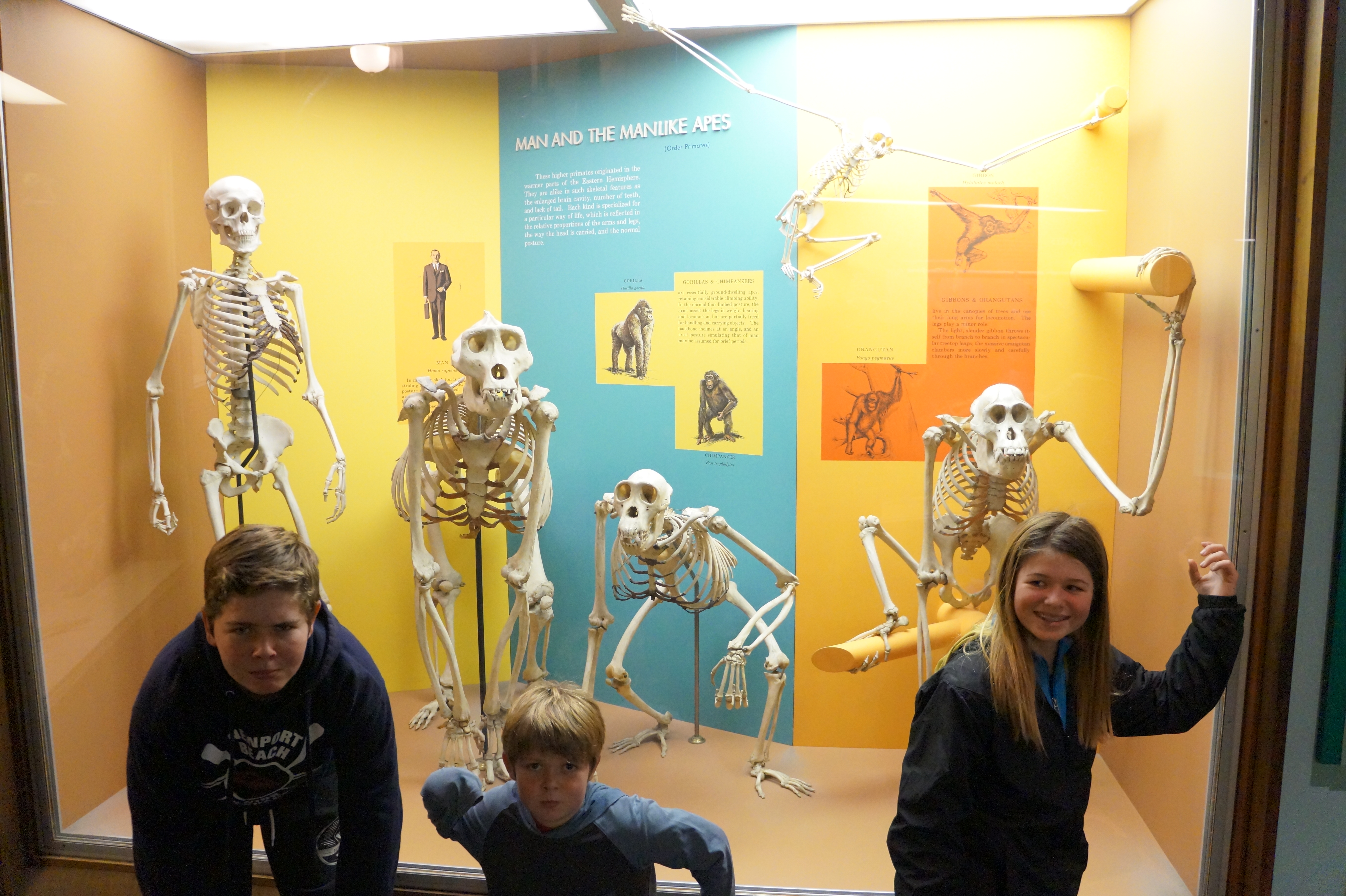 Wahington DC11.21.15 461