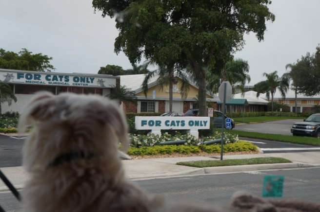 Florida Keys 12.23.2015 060