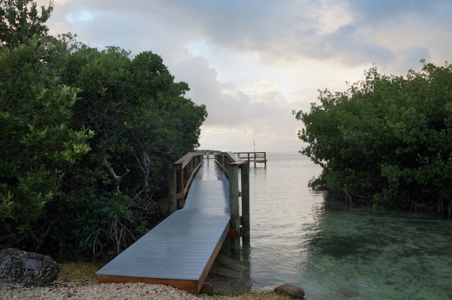 Florida Keys 12.23.2015 187