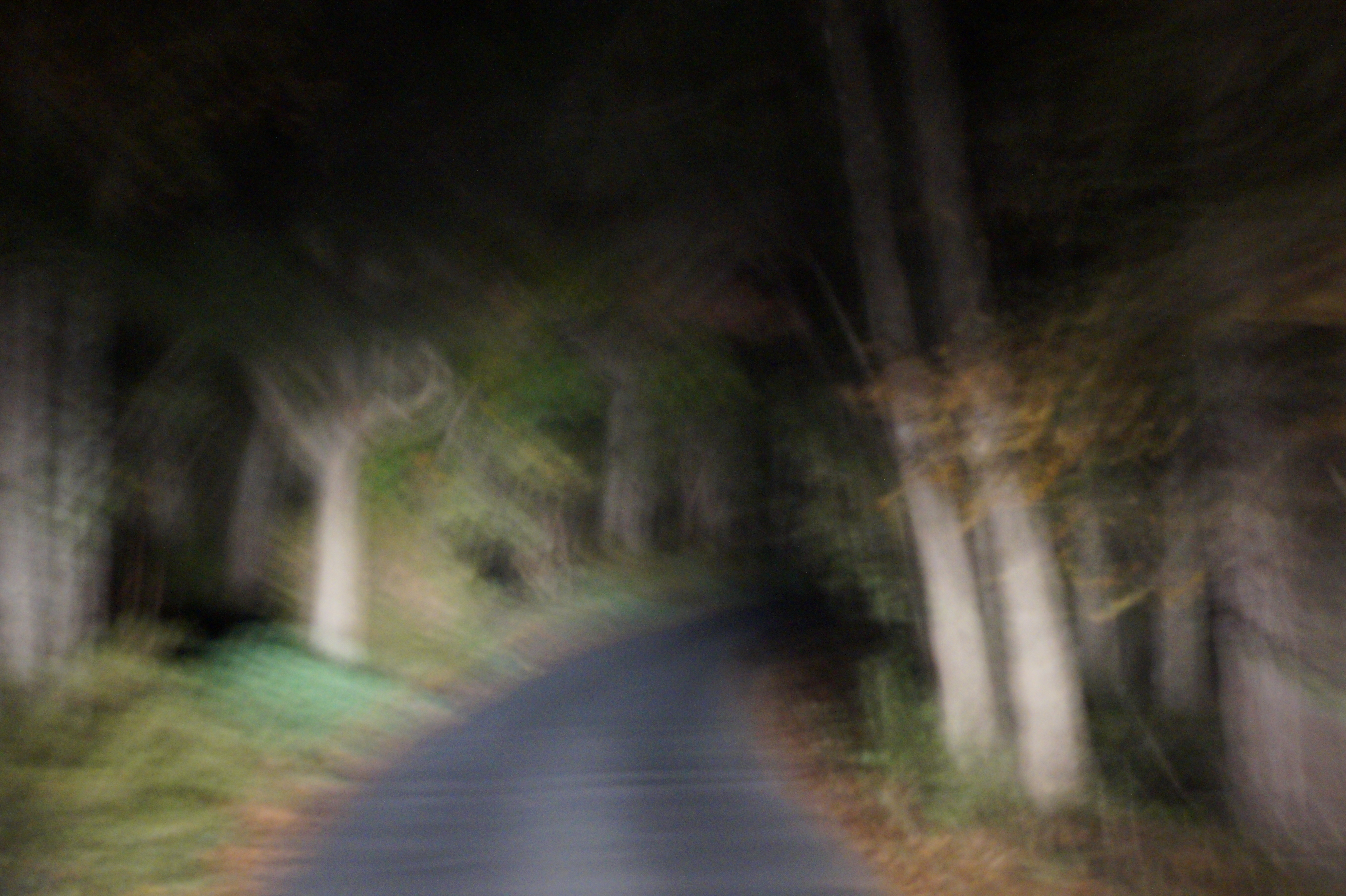 Raleigh, 12.3.15  Uncle Bill Chesher 045