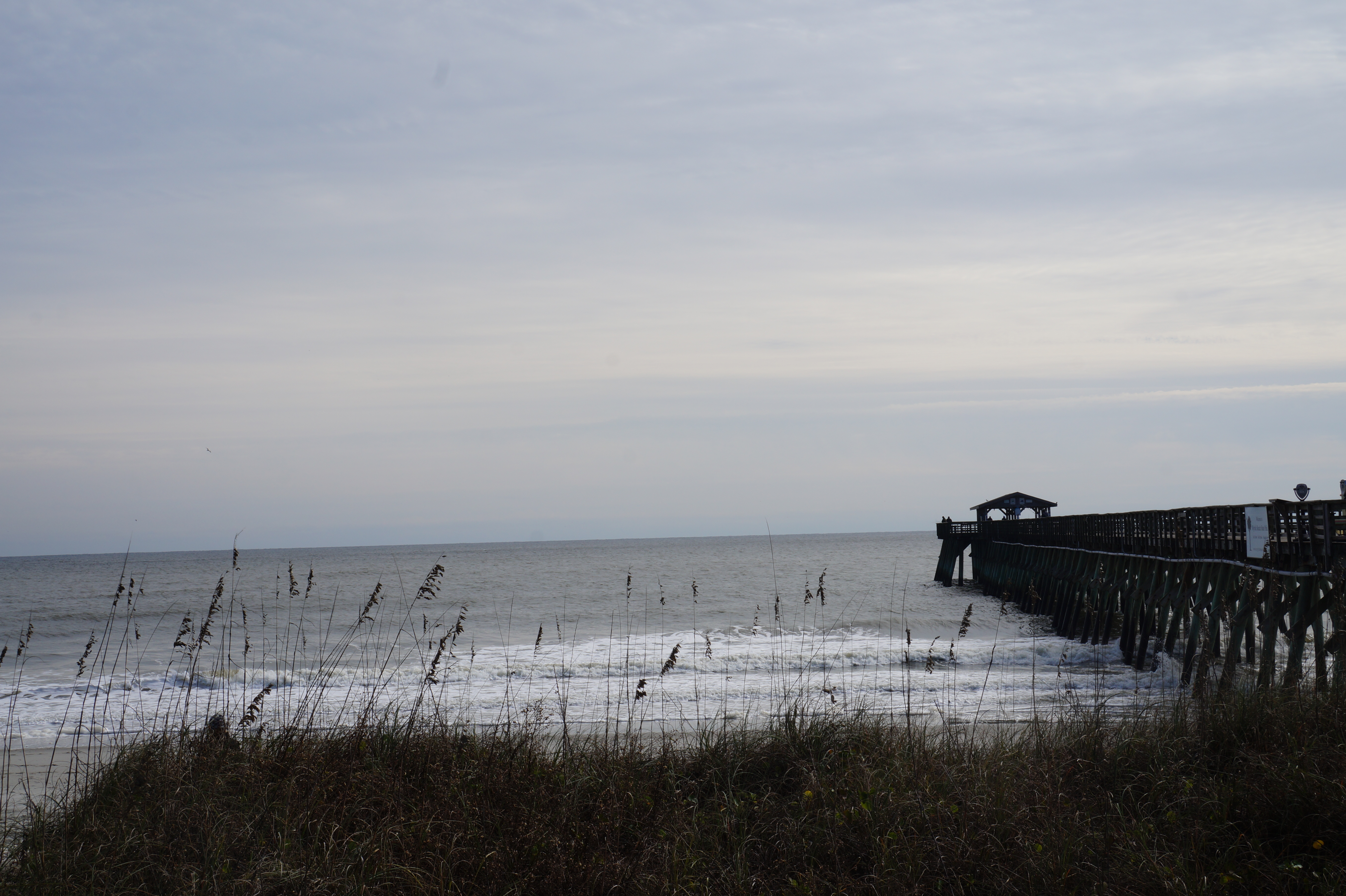 South Carolina Myrtle Beach State Park 12.5.15 025
