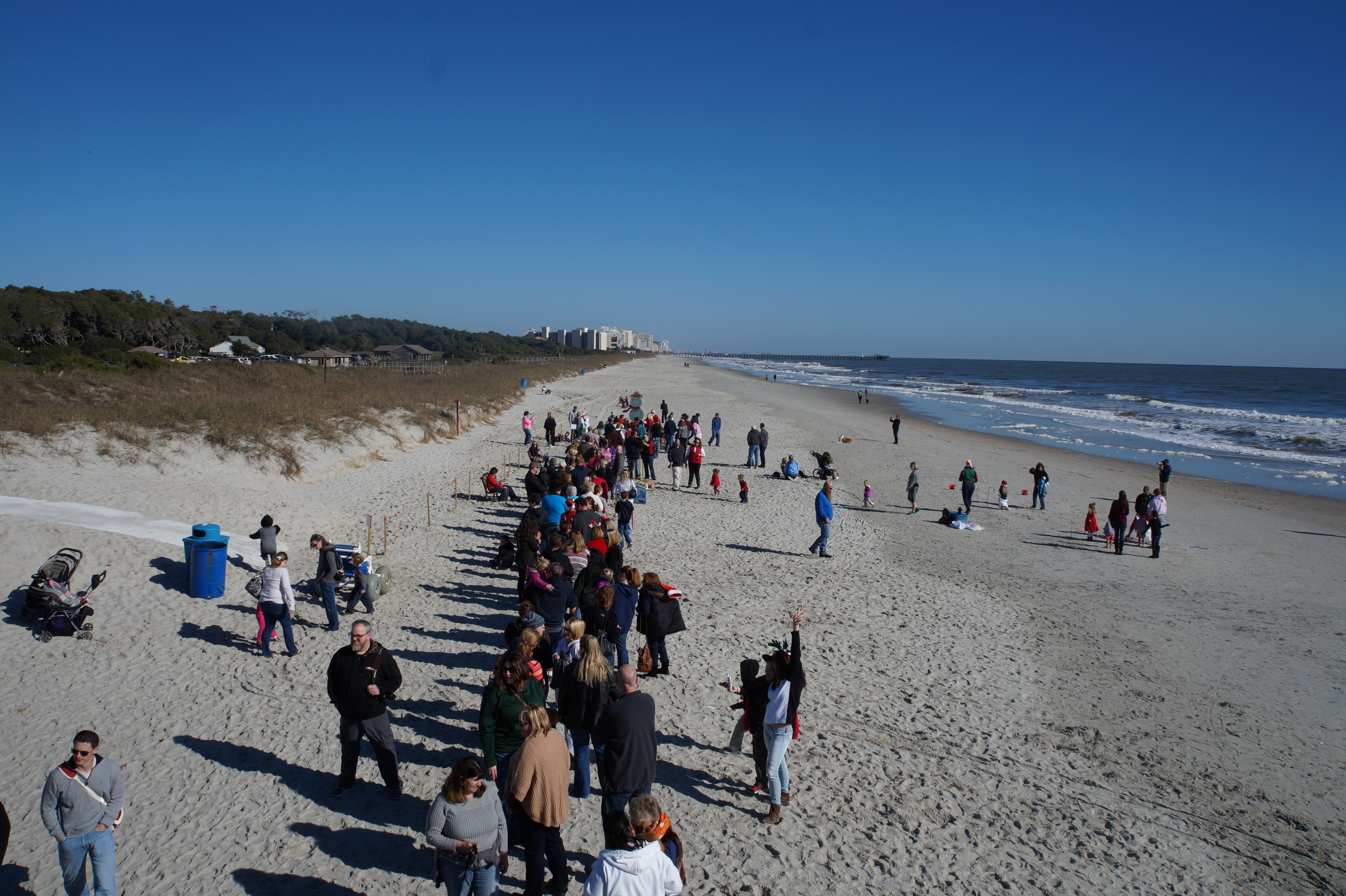 South Carolina Myrtle Beach State Park 12.5.15 105