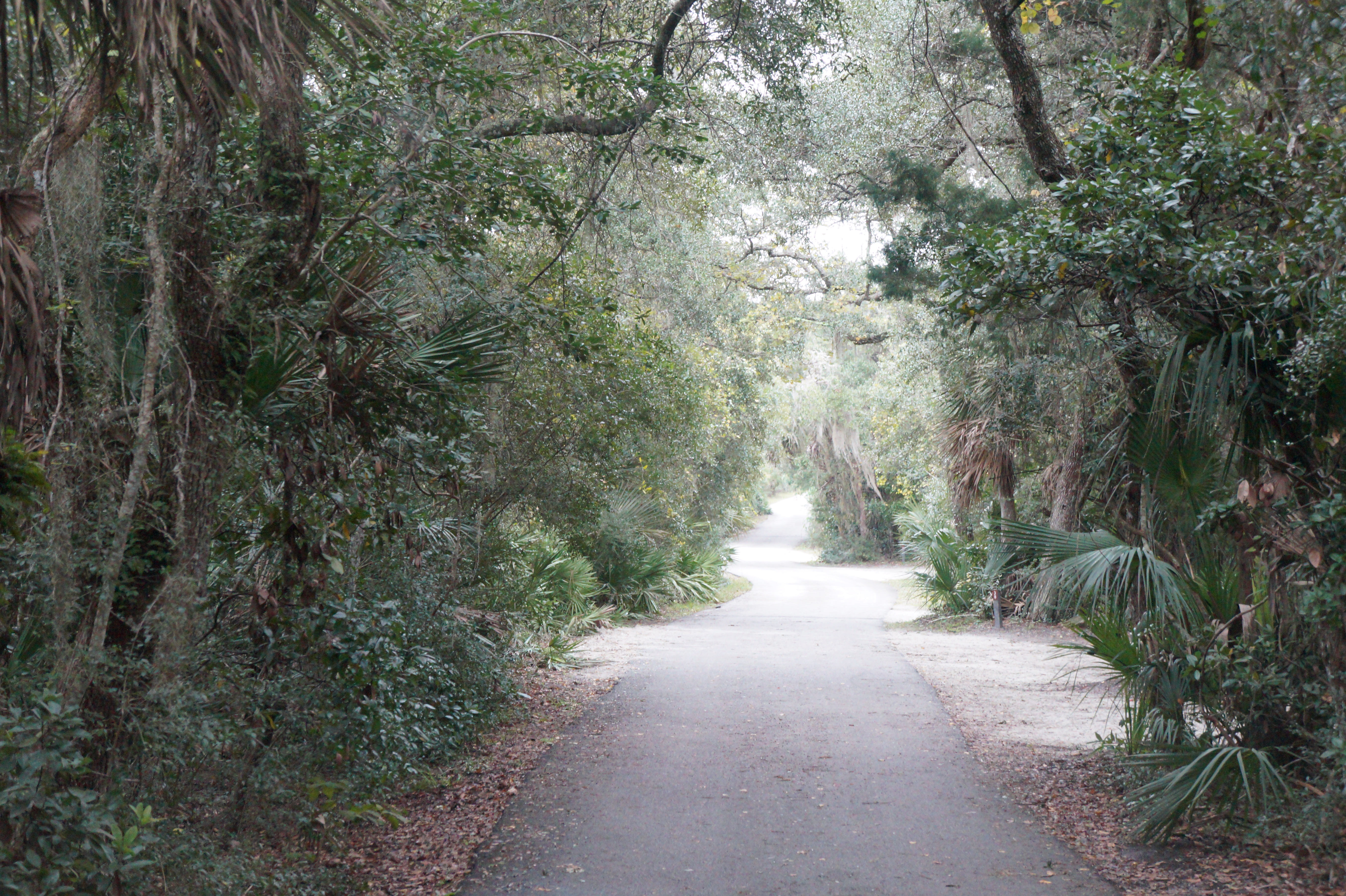 South Carolina Myrtle Beach State Park 12.5.15 295