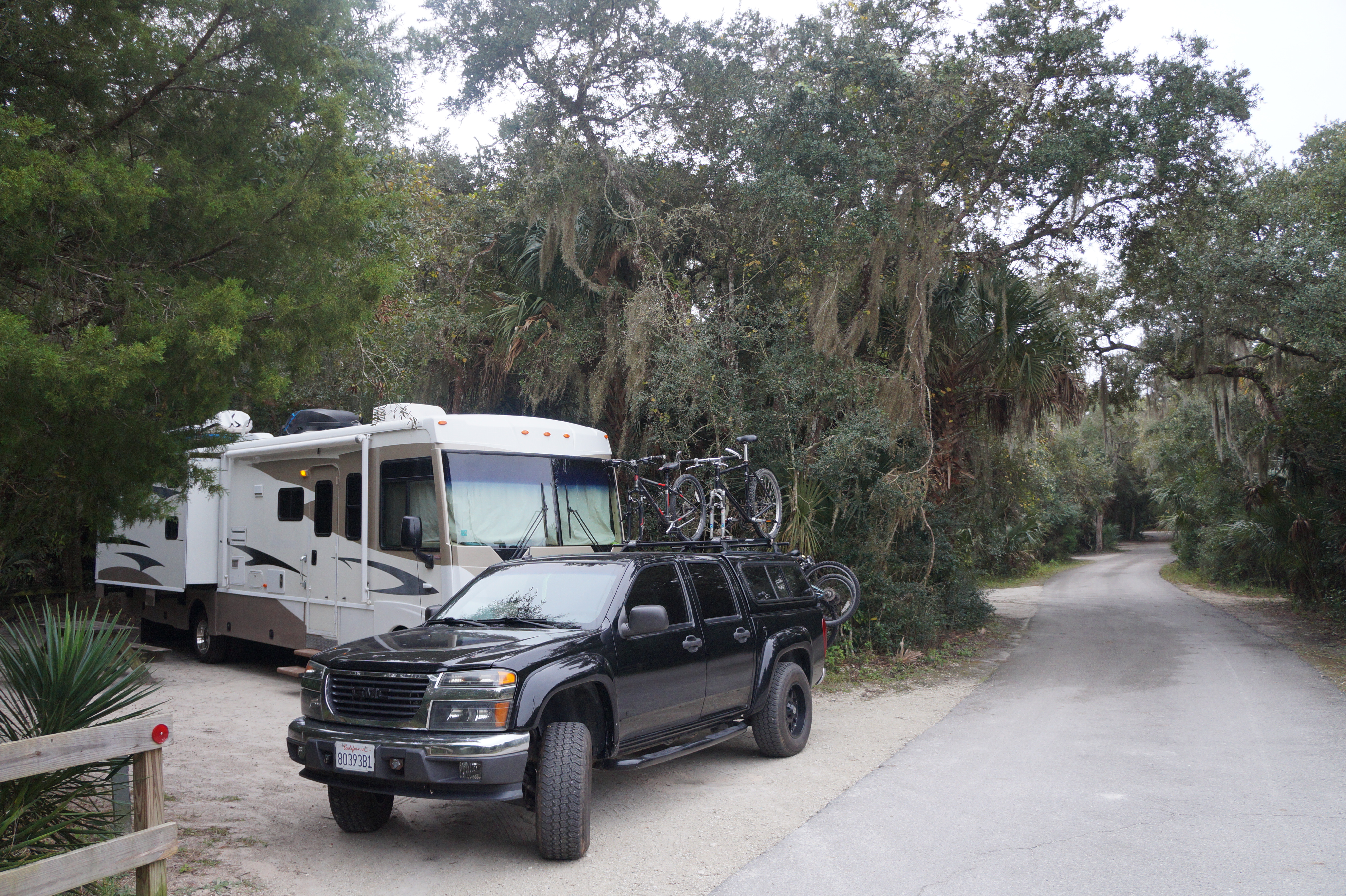 South Carolina Myrtle Beach State Park 12.5.15 297