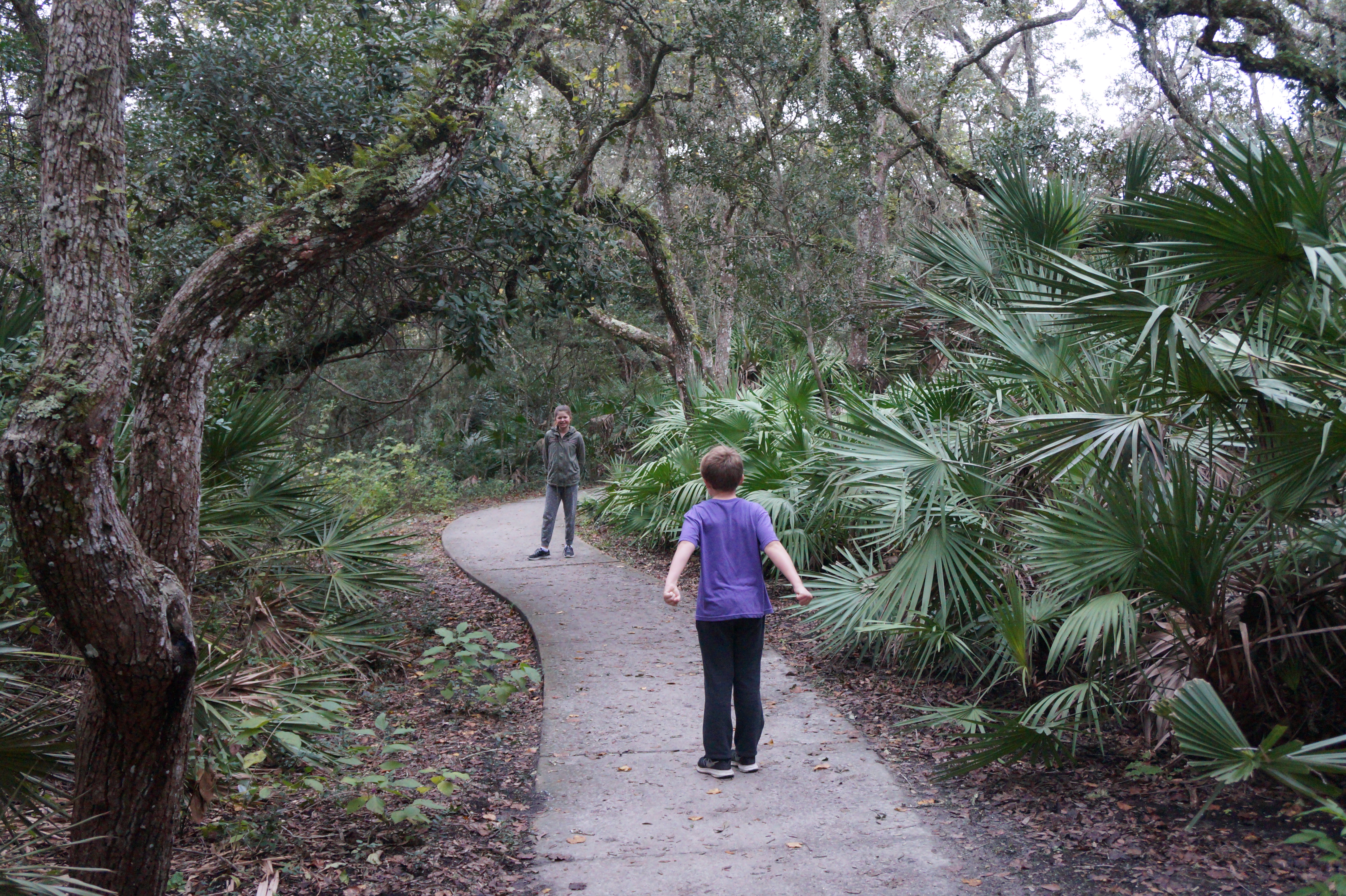 South Carolina Myrtle Beach State Park 12.5.15 301