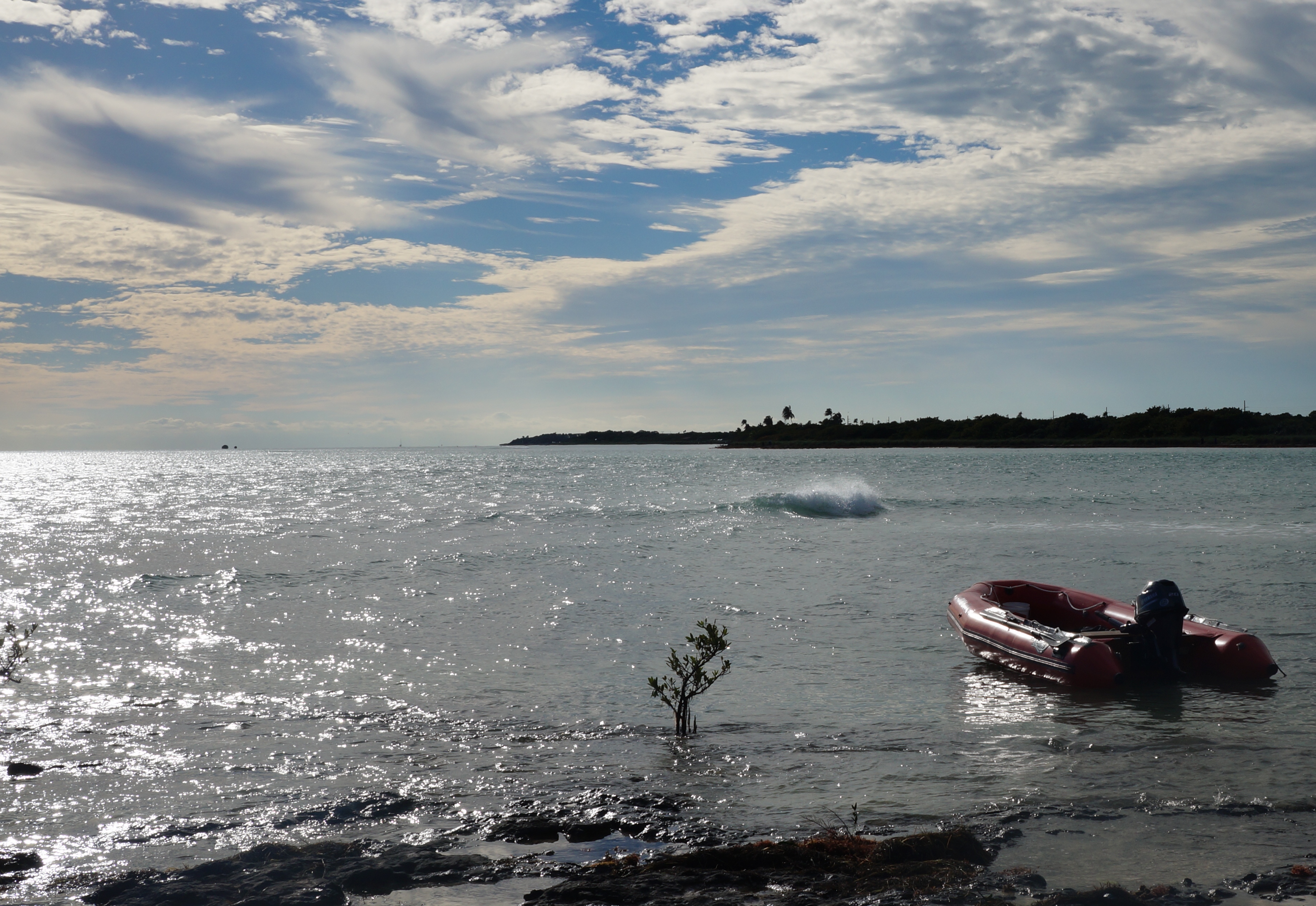 Conche Republic 1.18.2016 016