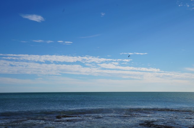 Conche Republic 1.18.2016 029