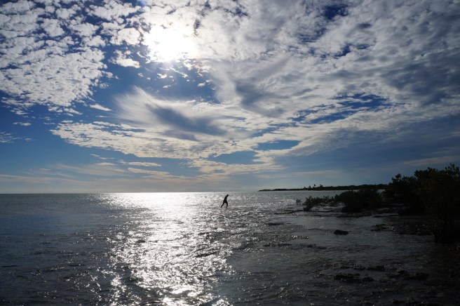 Conche Republic 1.18.2016 036