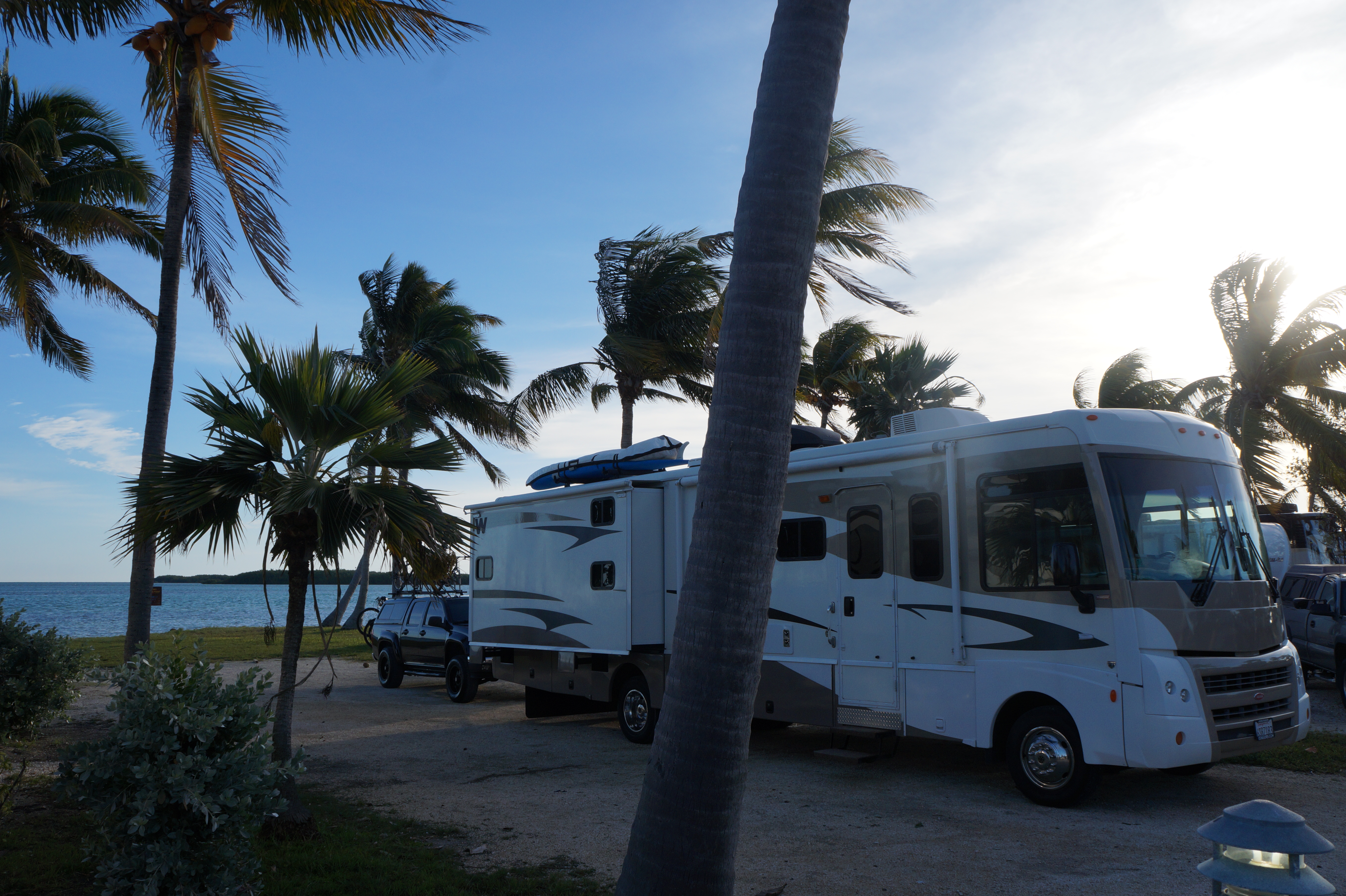 Everglades Feb 8. 2016 002