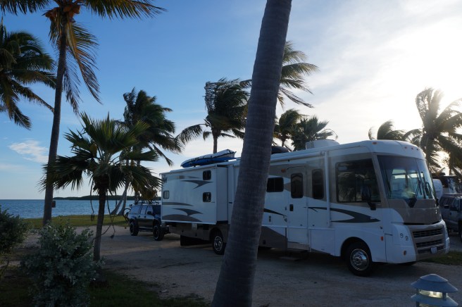 Everglades Feb 8. 2016 002